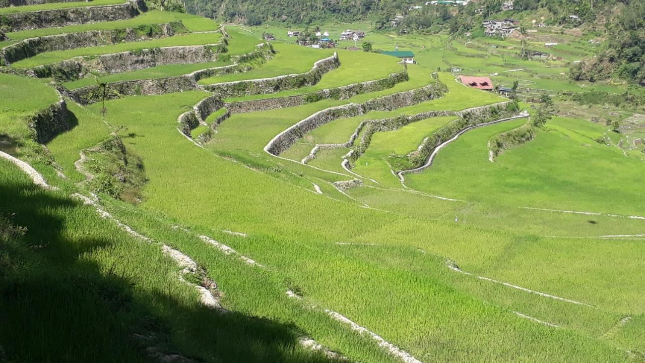 Baleh Boble Guesthouse Banaue Exteriér fotografie