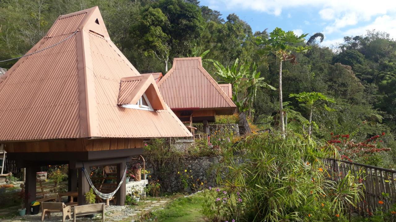 Baleh Boble Guesthouse Banaue Exteriér fotografie